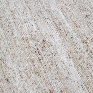 Alfombra Pet Beige 200 x 300