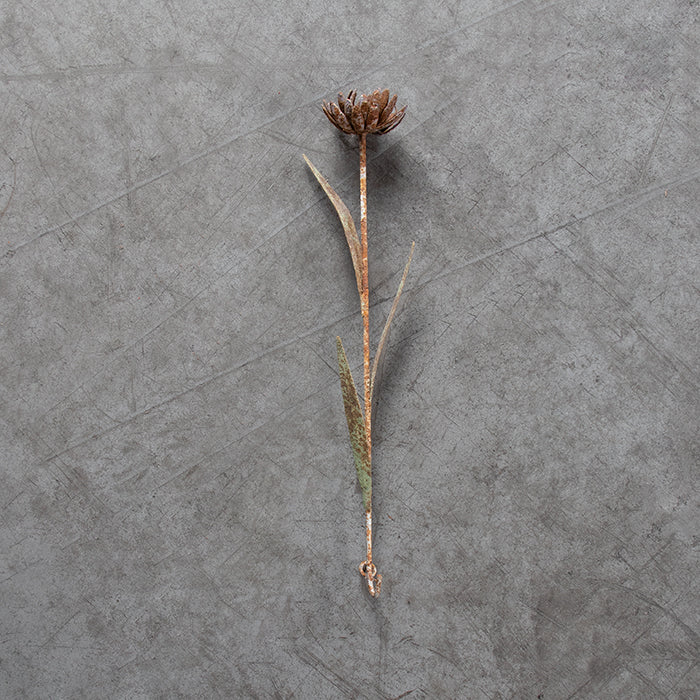 Flor Irene 2