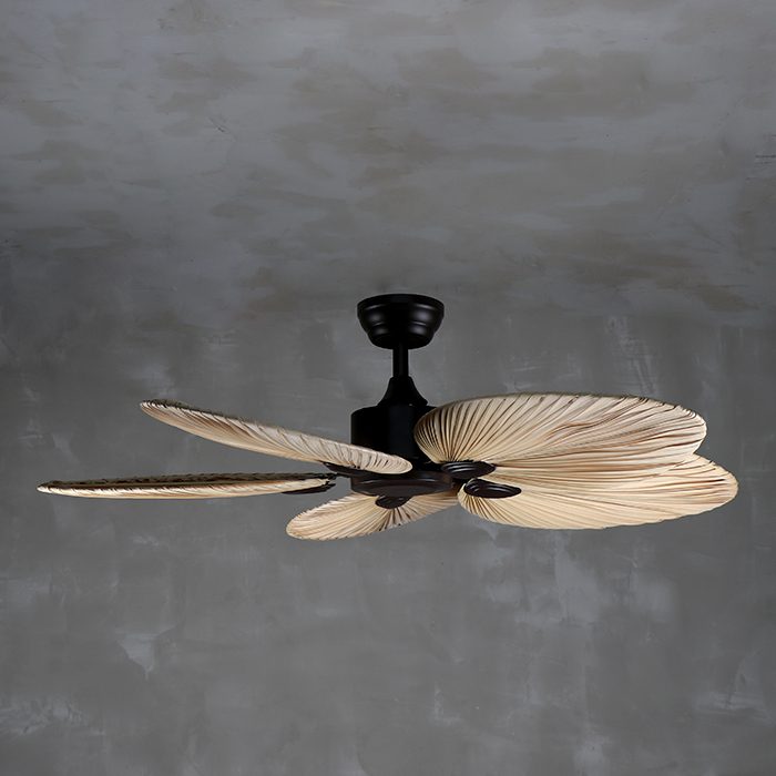 Ventilador Palm