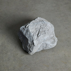 Piedra Gris Oscura IX