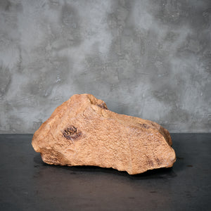 Piedra Tierra IV