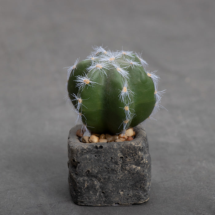 PLANTA ARTIFICIAL BASE CERAMICA 5