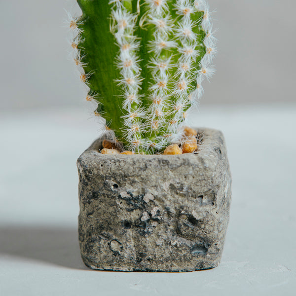 Planta Artificial Base Cerámica 6