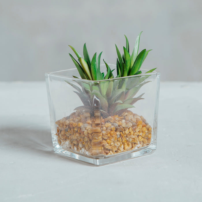 Planta Artificial Base Cemento VI